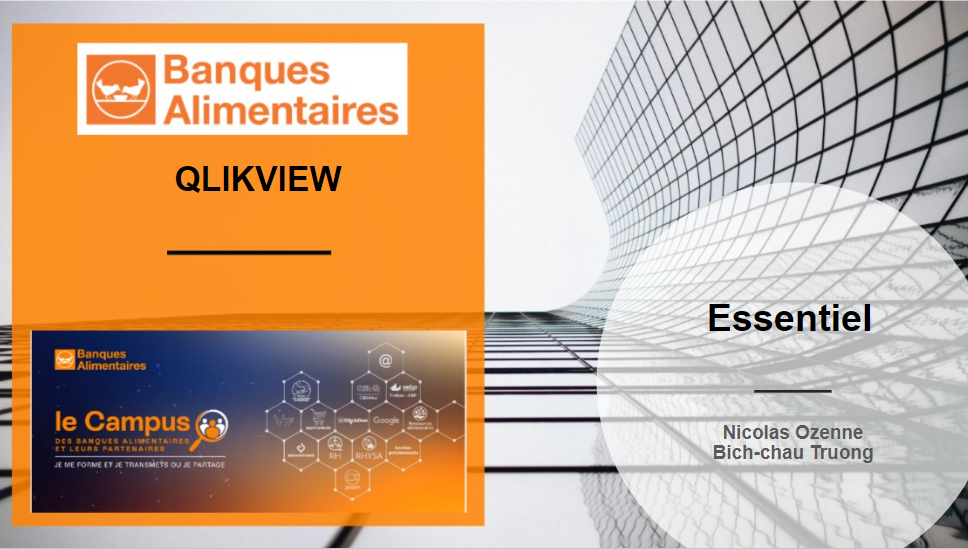 QlikView Essentiels - 11/03/2025